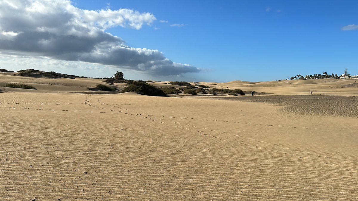 Saturday morning stroll