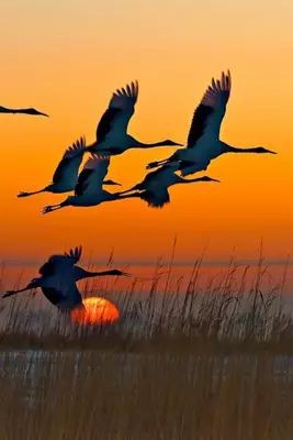 THE sun is ALWAYS joyful. It SEEMS to rise, it SEEMS to set: BUT we CAN REST in the FAITH that it is ALWAYS there AND that we WILL see it AGAIN. Welcome to #MagicalKenya 🇰🇪 🇰🇪 🇰🇪
📸 📸 📸 WEB