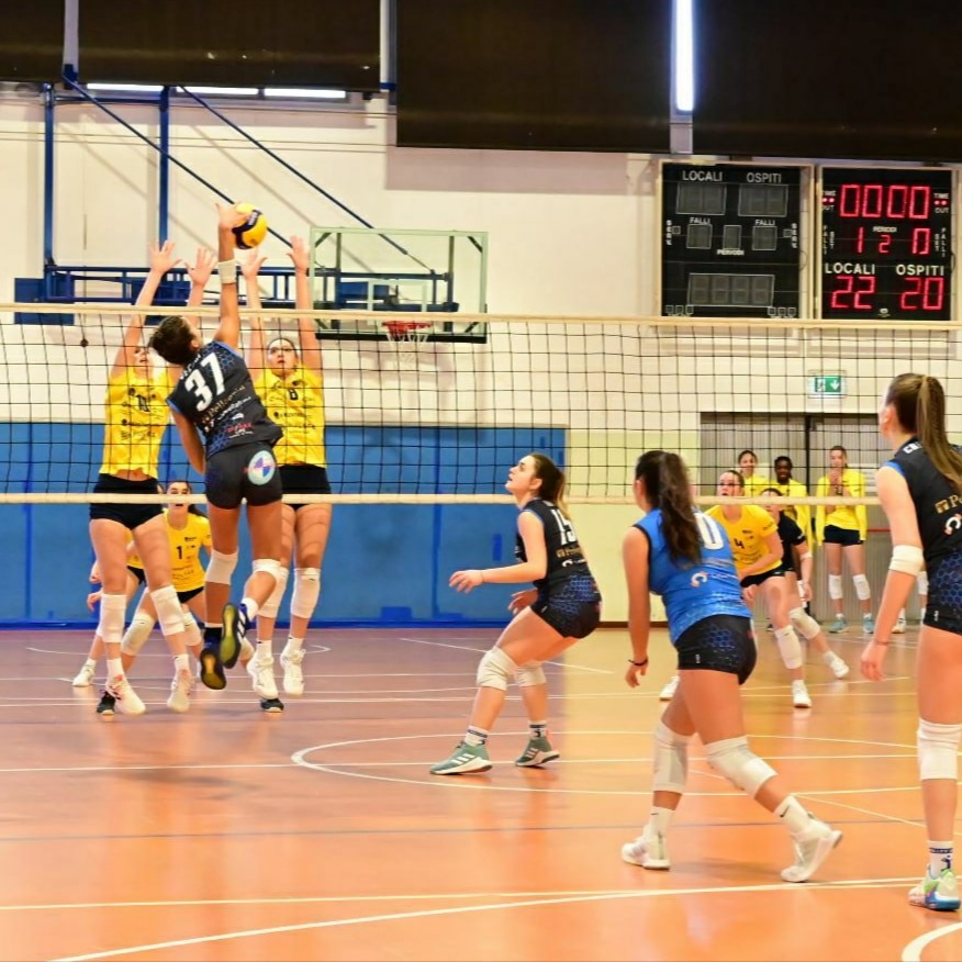 Fipav Padova tweet media