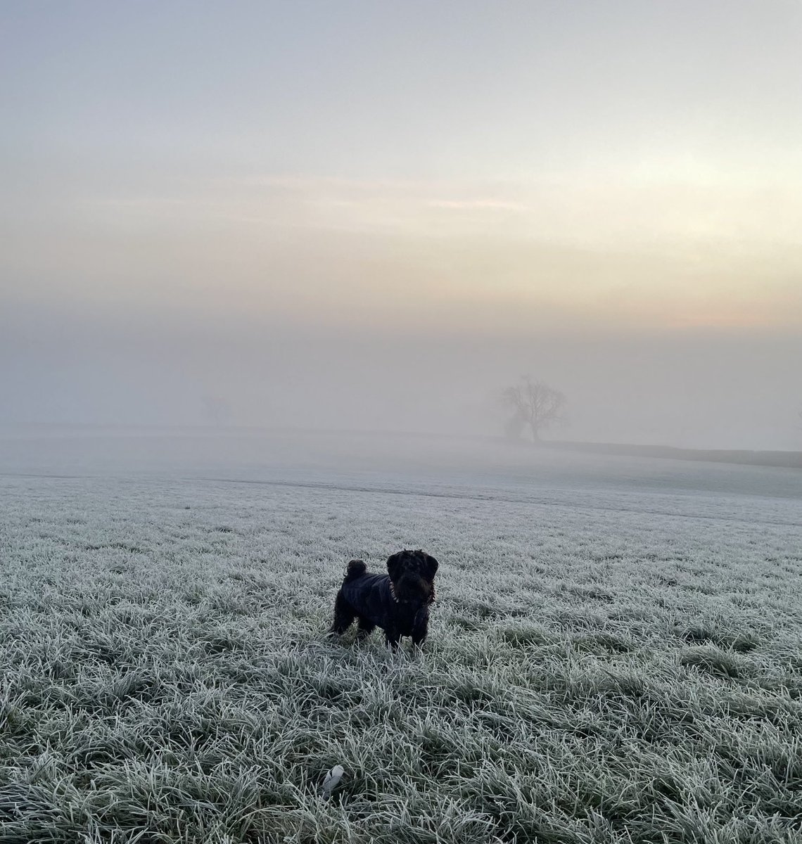 Lee Buttery tweet media