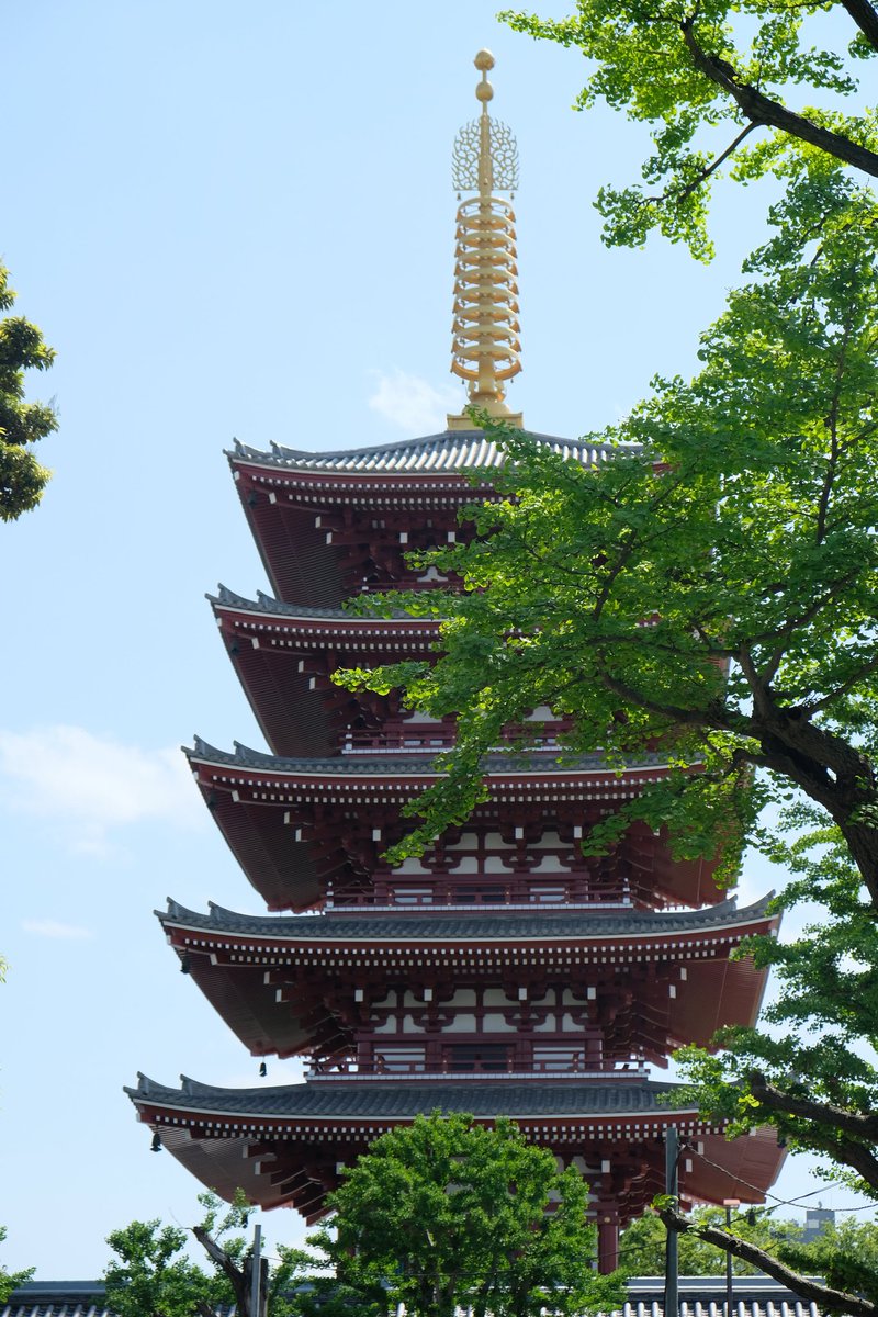 pvertigoweb's tweet photo. Pagoda in Asakusa.
What is your favourite place in Tokyo?
#tokyo #japan #asakusa #travelphoto https://t.co/XLZI8OBvz1