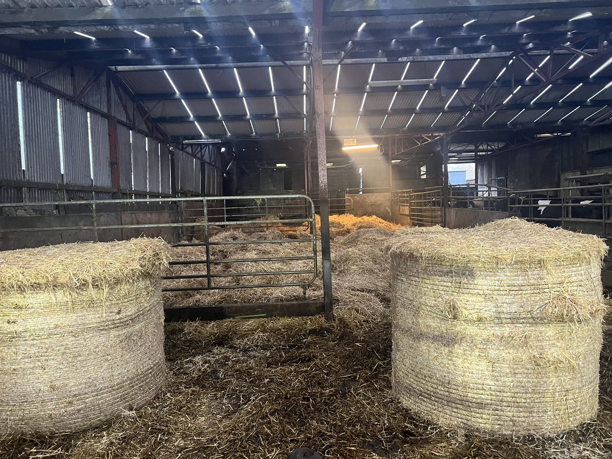 Iv just realised I seem to spend a lot of time walking around bales looking for the start of the net. Anyone else??