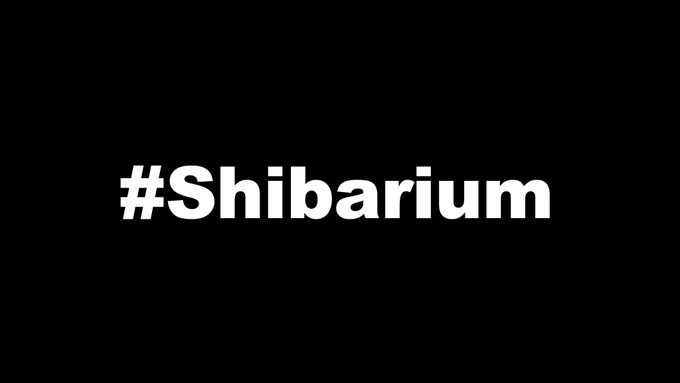 You know you're in #Shib early because #Shibarium has yet to come out. In a few years you can tell the new generation that buys crypto that you were there when #Shibiarium first came out in 2023. So proud to be part of the #SHIBARMY !