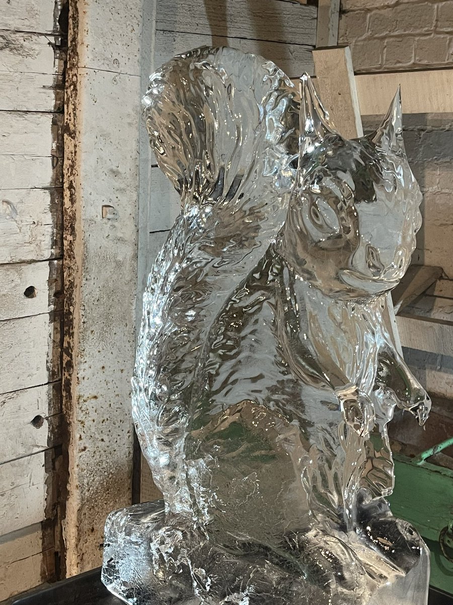 HelHindsonHowey's tweet photo. @SquirrelAccord Recent red squirrel ice sculpture at Woodhorn museum, Northumberland. No reds have been seen there for a year 😕 https://t.co/XRORaxhpYf