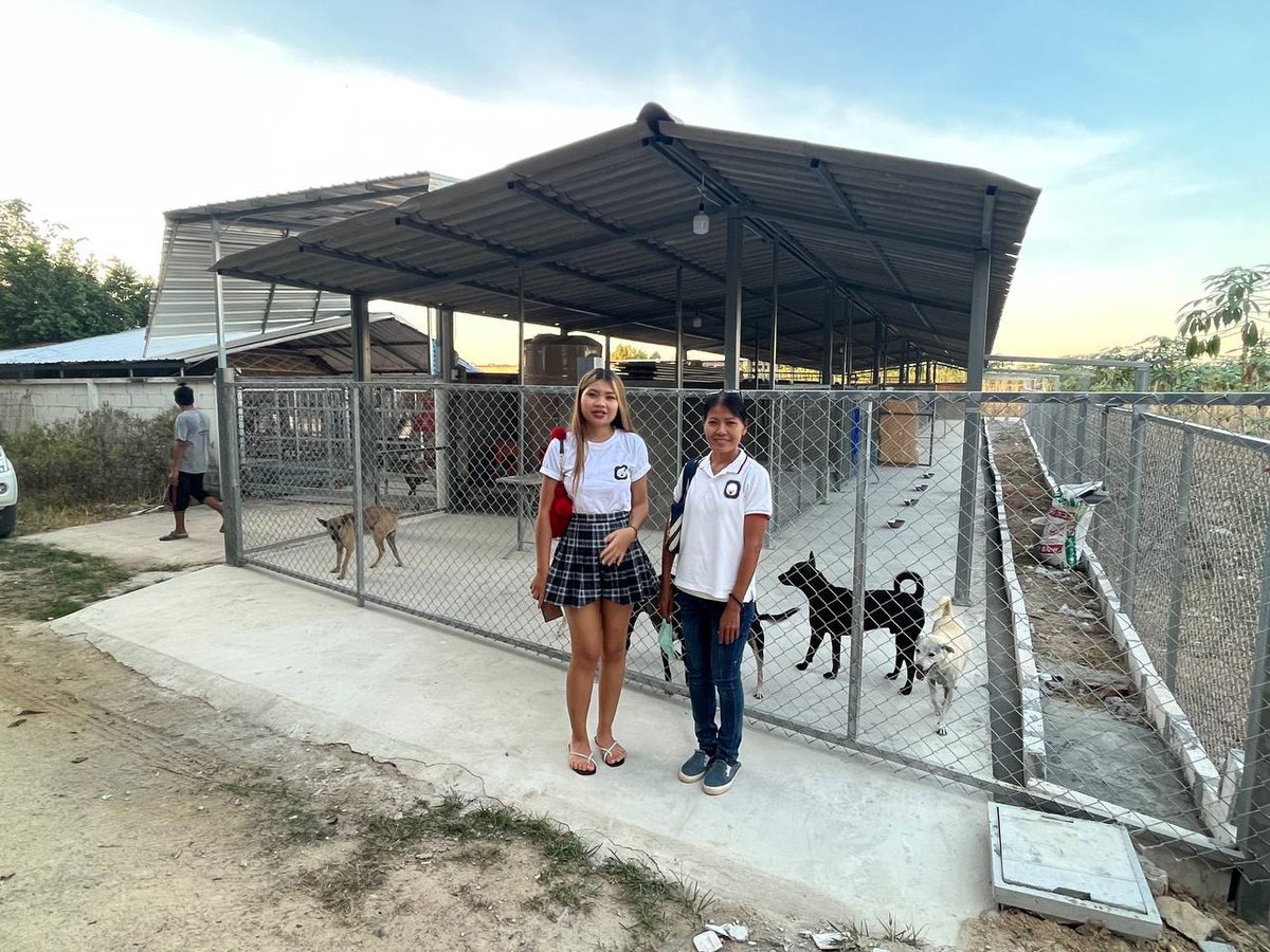 Raresama - NFT Marketplace tweet media