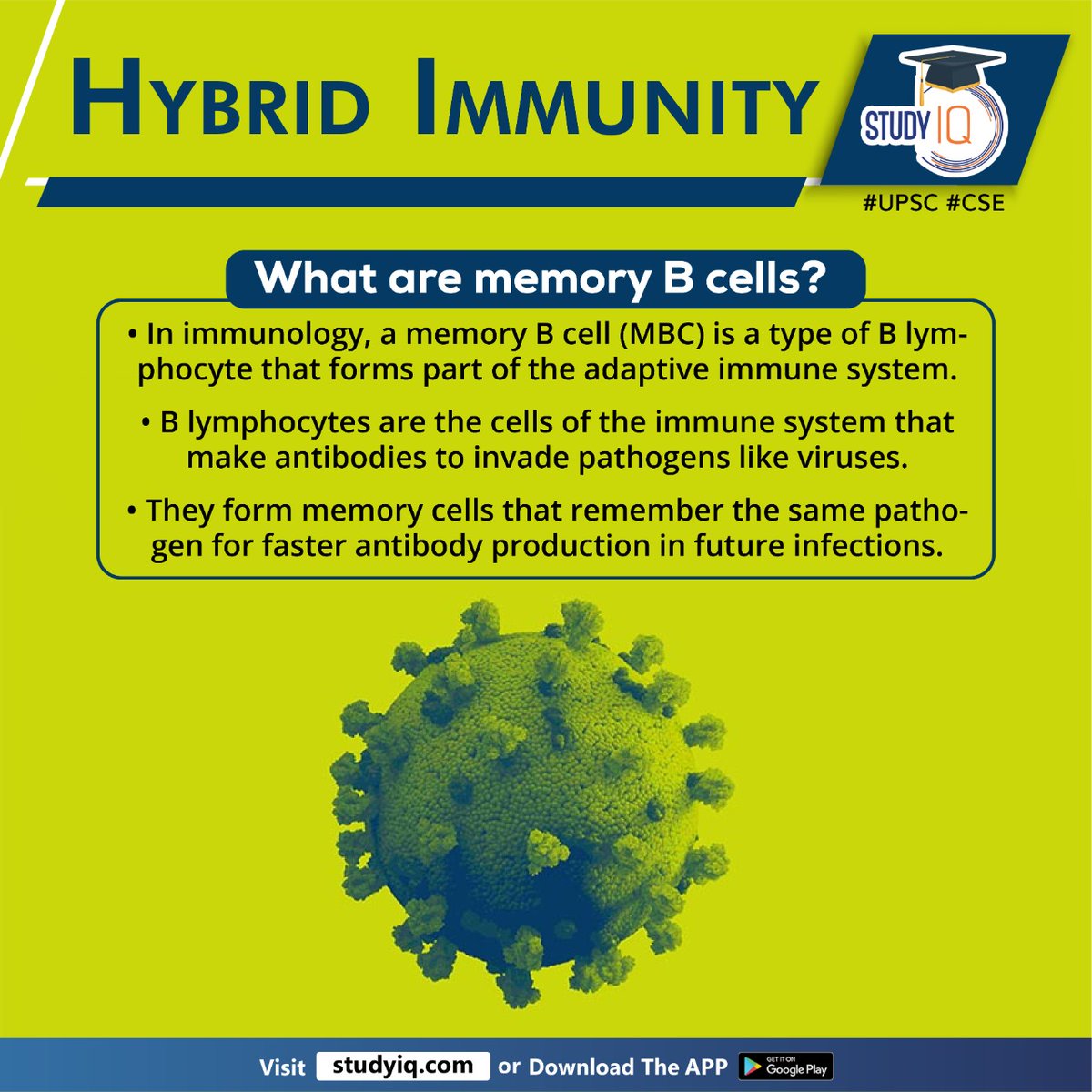 upsciq's tweet photo. Hybrid Immunity

#hybridimmunity #whyinnews #covid19 #immunity #infectionplusvaccines #boosterdoses #primarydoses #immunologicaladvantage #bcells #vaccination #memorybcell #mbc #blymphocyte #immunesystem #cells #pathogens #viruses #upsc #cse #ips #ias https://t.co/bCYjH74Jh8