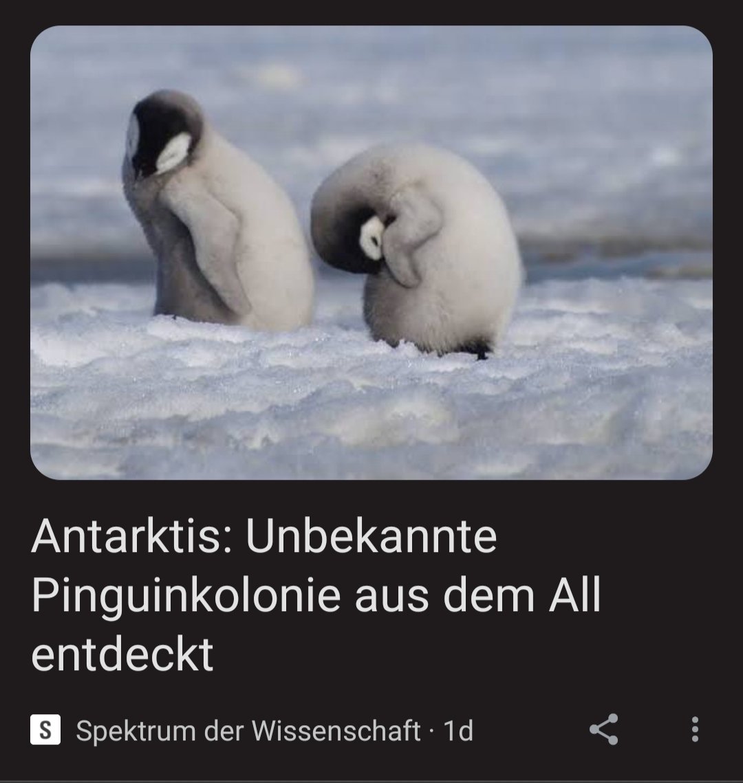 MMHerden's tweet photo. @spektrum Oh mein Gott 😱 Wie lange leben sie schon unter uns?  #aliens #pinguine #spektrum #fromouterspace https://t.co/8twOlzyhWy