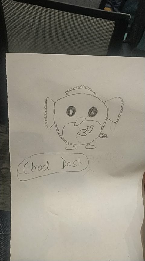 ayush_mishra_24's tweet photo. I made the chad version of our beloved Dash at @delhi_flutter event🗿😘
#dashdayout #flutterdelhi #dash #flutter https://t.co/6AxDISQSVk
