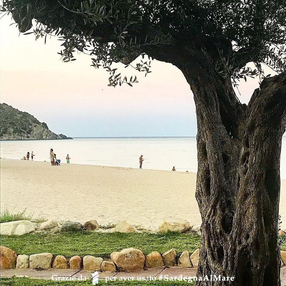 SardegnaAlMare's tweet photo. From https://t.co/EqygCc0KOy
spiaggia San Pietro, Castiadas π β π # SardegnaAlMare #spiaggia #sardegna #sardinia #ichnusa #sanpietro #spiaggiadisanpietro #sanpietrocastiadas #castiadas #castiadascalcio #castiadasospitale #costarei #costareibeach #spiaggiadicostarei #muraveβ¦ https://t.co/hTmnLE347M