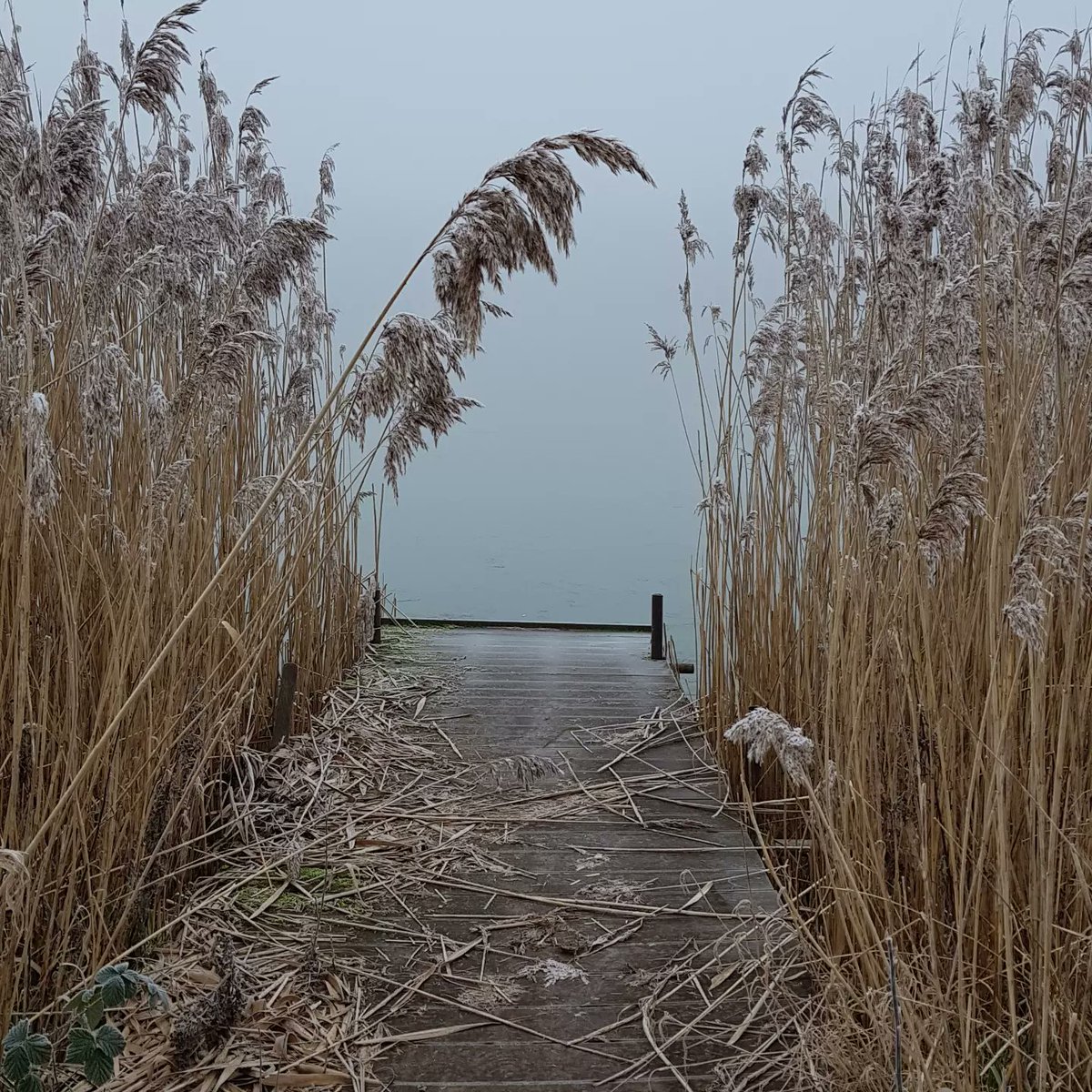 Beautiful frosty morning here at The Fold in Bransford. It's a lovely day to visit the cafe and go for a walk around the lake &amp; nature trails 🌾 Pop in to the Paperwhale studio for eco-friendly botanical cards, notebooks, prints, UK grown house plants &amp; macrame plant hangers 🌱