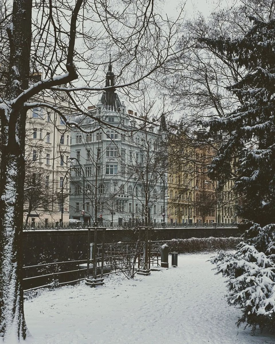 Prague Morning tweet media