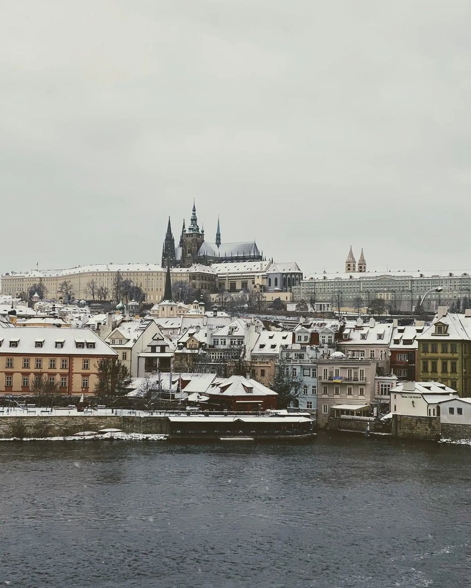 Prague Morning tweet media