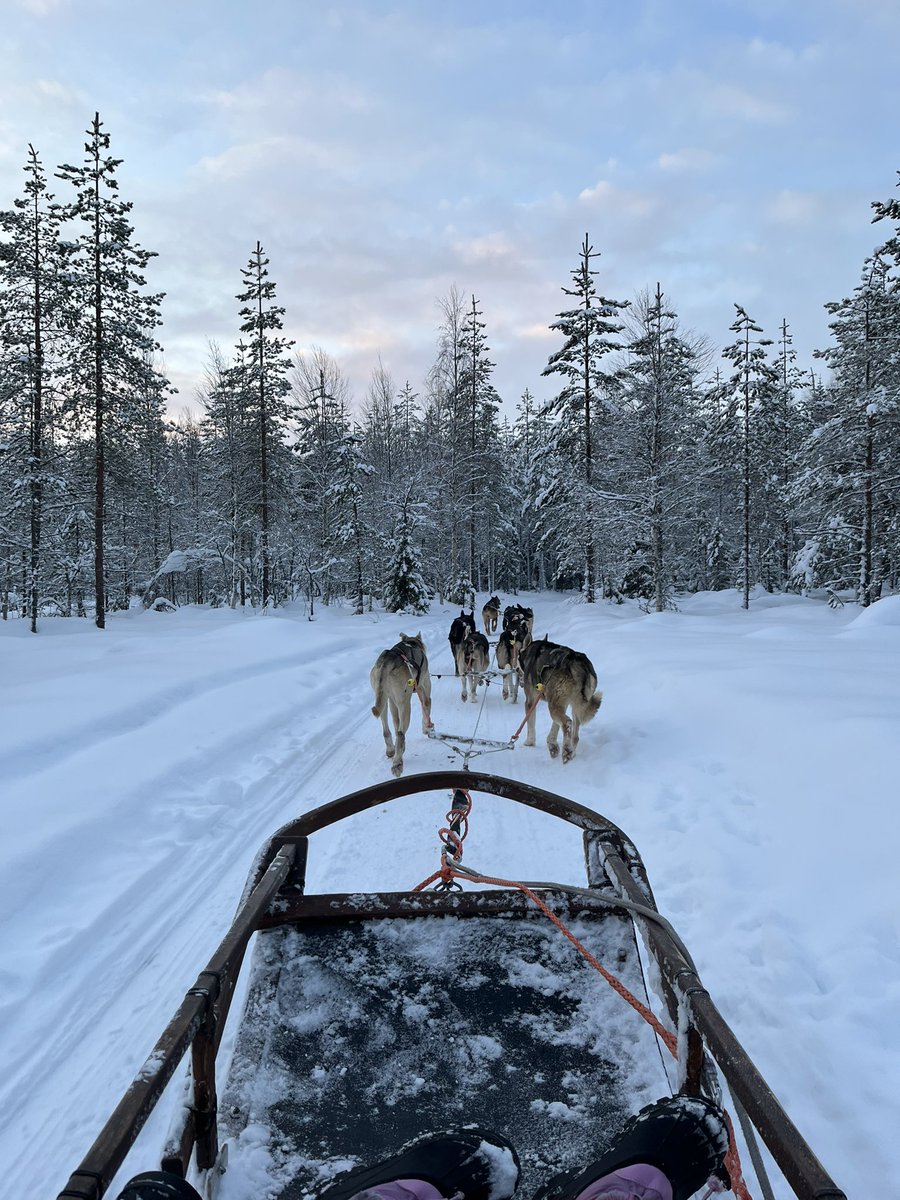 LarkinAnnmarie's tweet photo. Huskeys. Beautiful animals. #huskeys #workingdogs #santaclausvillage #bearhillhuskeys https://t.co/BbuYXSaUfD