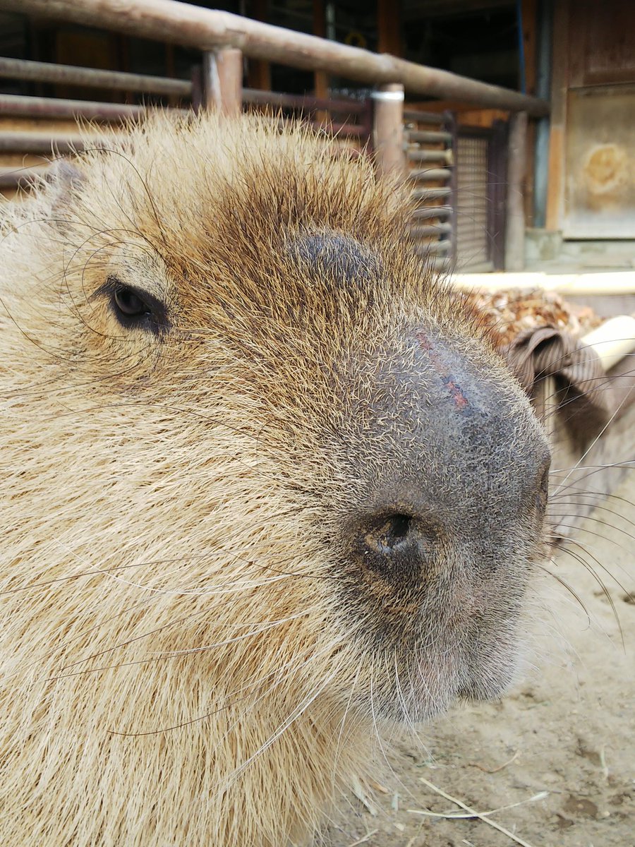 寒すぎて 鼻水出ちゃう💧
キズも大丈夫だね。