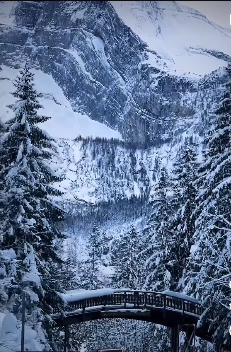 Nightexpress247's tweet photo. Beautiful view of heaven in earth#kashmir@nightexpress247 https://t.co/L2UZeD6dRN