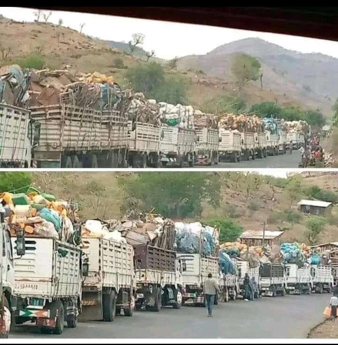 How low can the Eritrean forces go! This is not just looting, they are literally transporting Tigray!