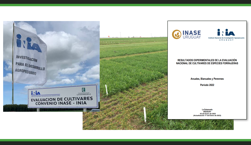 Pasture Genetics tweet media