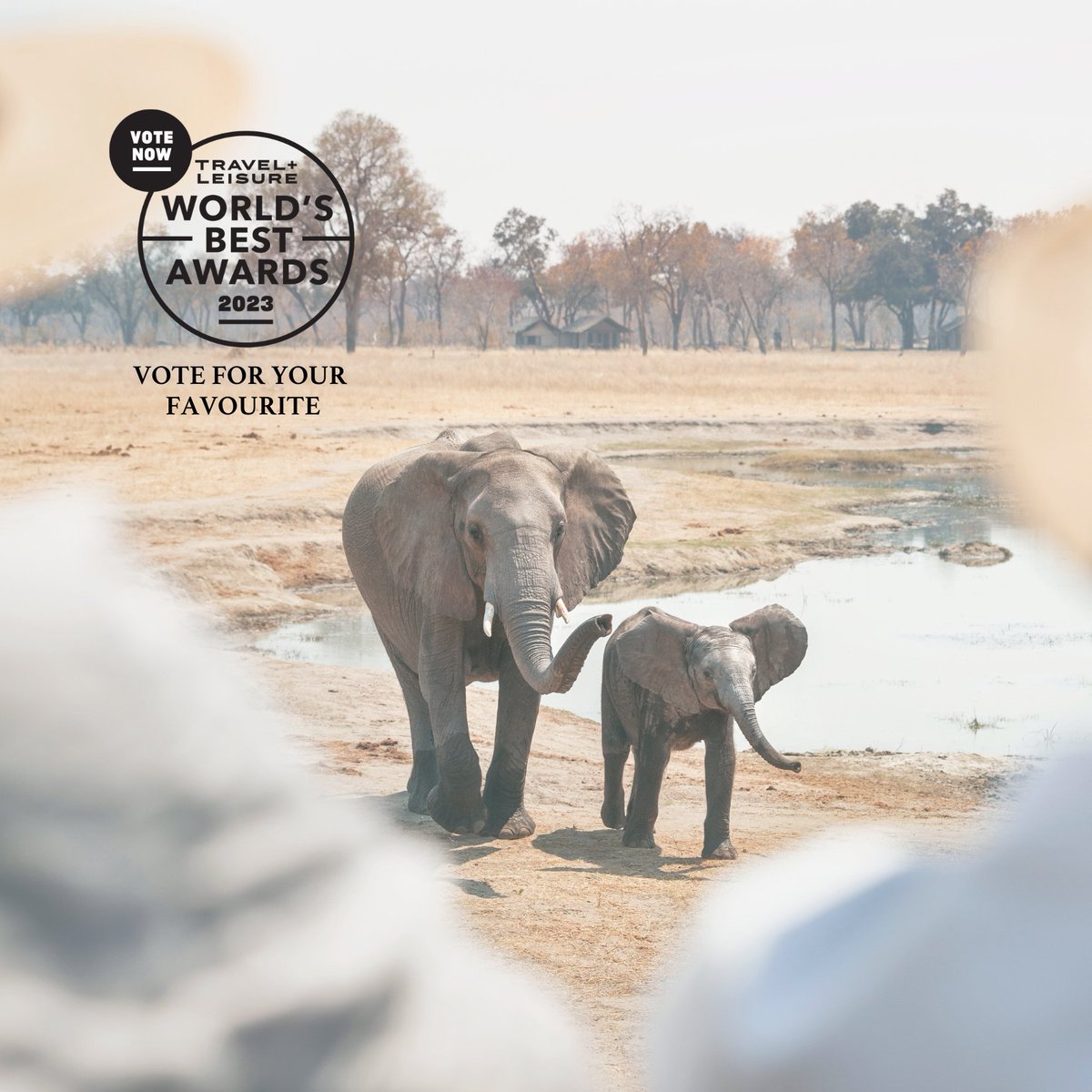 Loved travelling with us? Please don’t forget to cast your vote for Wilderness in the Travel + Leisure World’s Best Awards. Vote for #Wilderness before 27 February 2023: wba.m-rr.com/home 

#WeAreWilderness #WildernessDestinations #EarthsUltimateUntamedPlaces #TLWorldsBest