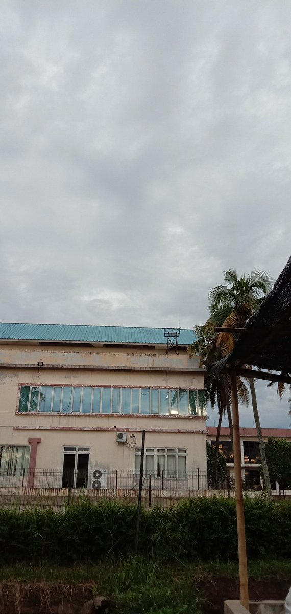 Alienngamukᥬ👽᭄ tweet media