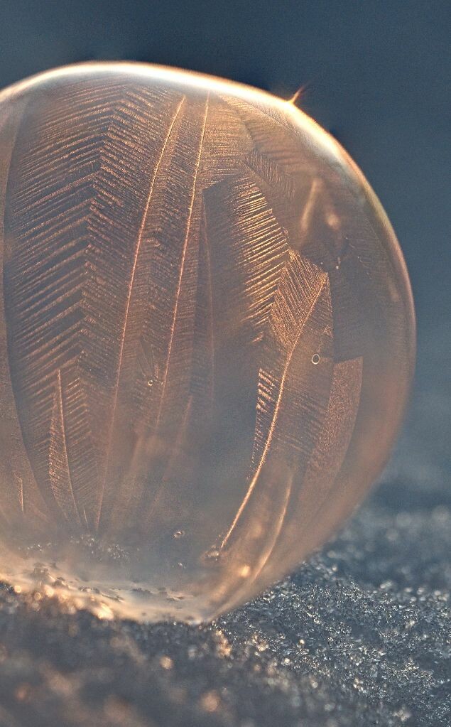 InI42's tweet photo. RT @eyeling@mastodon.art
Details. The big one was about 8cm, the small one 3cm. #FrozenSoapBubbles #GefroreneSeifenblase
https://t.co/MQaO3wBeq6 https://t.co/fORPllqzLT