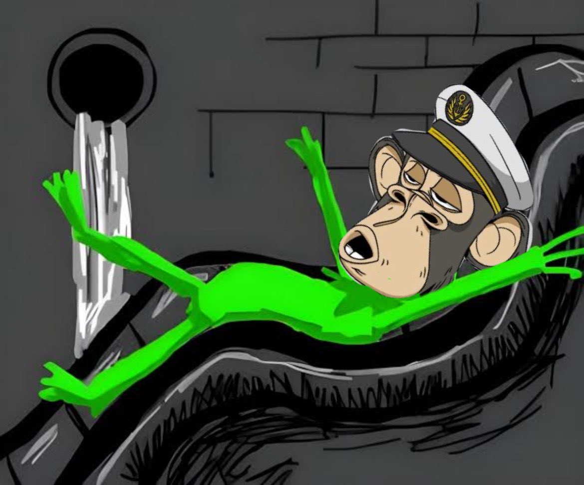 Chubs1 🇦🇺 tweet media