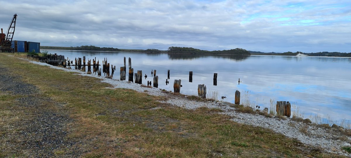 wombatbitme's tweet photo. Tassie day 2 is Strahan on the west coast. We did the half day west coast wilderness railway and then a rainforest walk close to our cabin in the afternoon. #Tasmania #Strahan #WestCoastWildernessRailway #waterfall #HuonPine #platypus https://t.co/mYF1TrYJ7Z