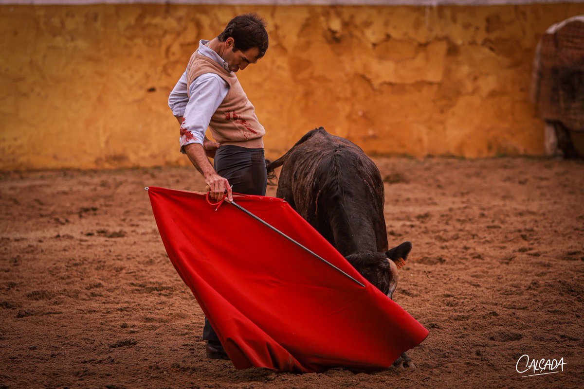 Tentadero en la ganadería VINHAS