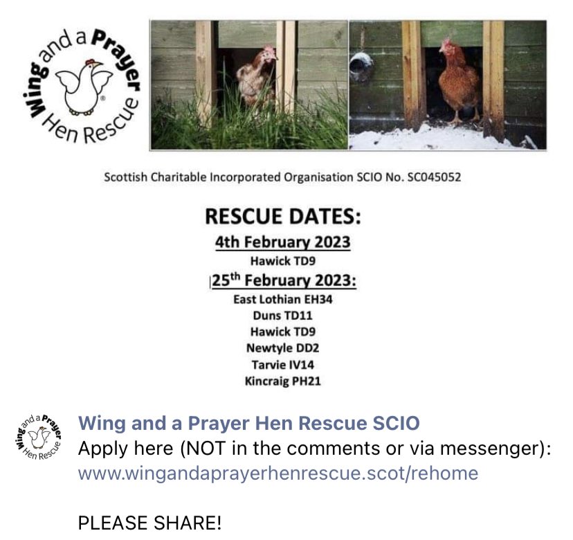 NEW: HEN RESCUE DATES! Please share. #Hawick <a href="/elcourier/">East Lothian Courier</a> <a href="/BerwickshireN/">Berwickshire News</a> #tarvie #kincraig