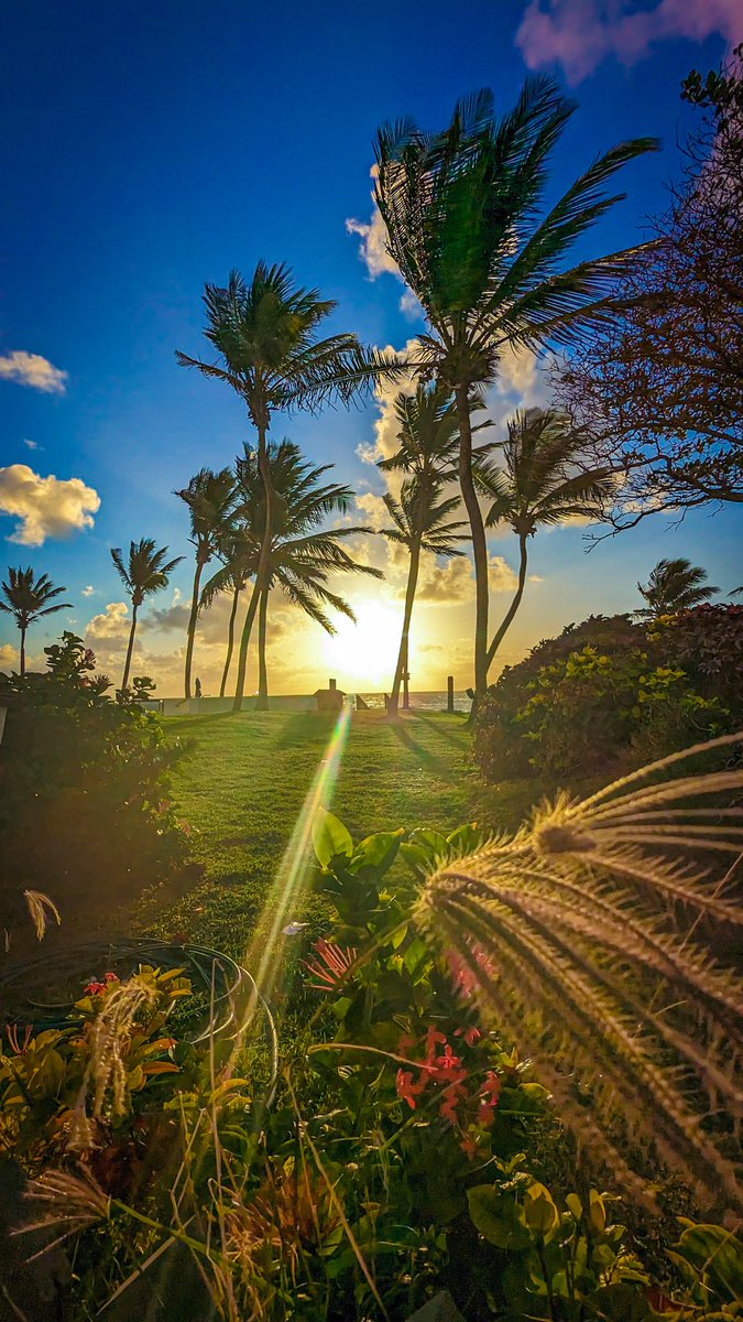 Schevaton's tweet image. 