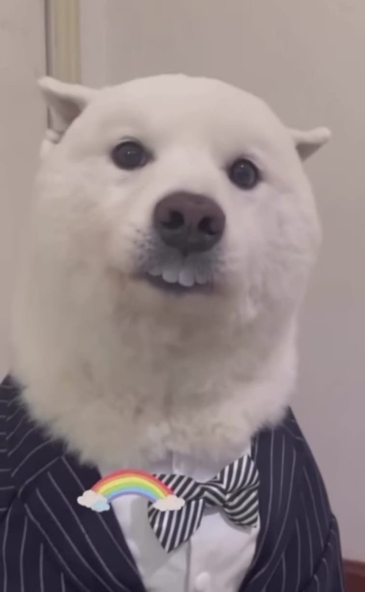 Neyse biraz da favori fotoğrafıma bakın (!)