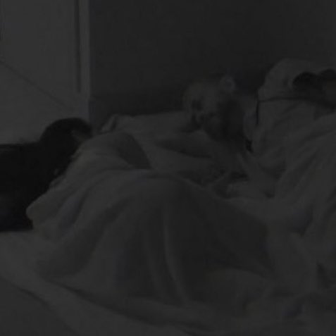 choquei's tweet photo. 🚨EITA: Internautas estão achando um absurdo o Gabriel dormir na cama do líder, enquanto Larissa dorme no chão #BBB23 https://t.co/k0T6T5hLTR