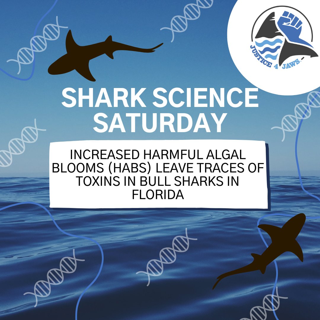 Justice 4 Jaws tweet media