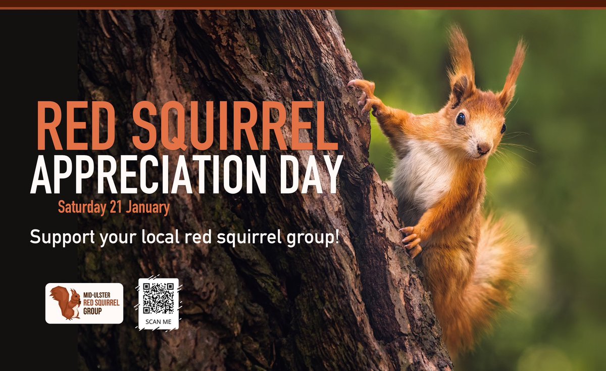 Mid-Ulster Red Squirrel Group (@redsquirrelsmid) / Posts / X