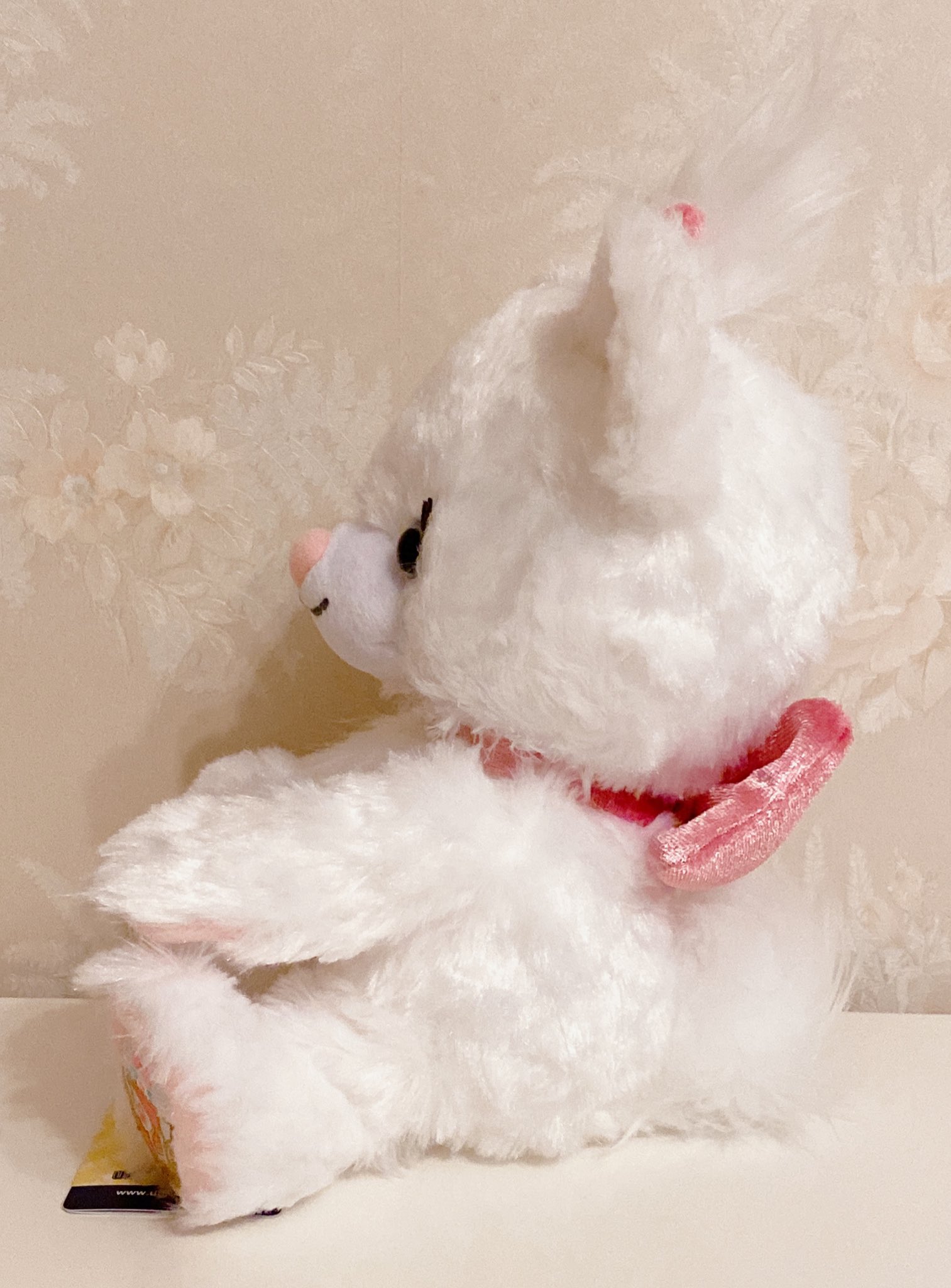 いちごみるく様♡確認page☆ジェラトーニ いちごみるく様♡確認page☆ジェラトーニ