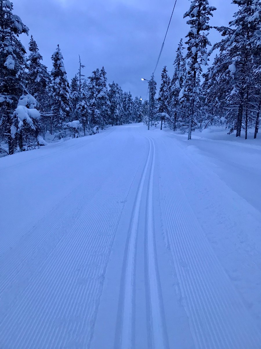 Hiihtämässä
Skiing 
#murtomaahiihto #skiing #skidefond #Finland #Finlande