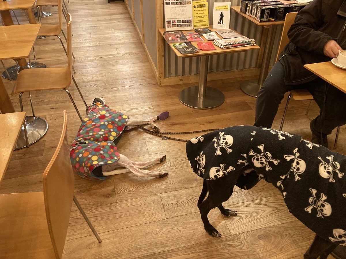 CafeWrecking's tweet photo. And relax …. https://t.co/kFT1jPI3xq