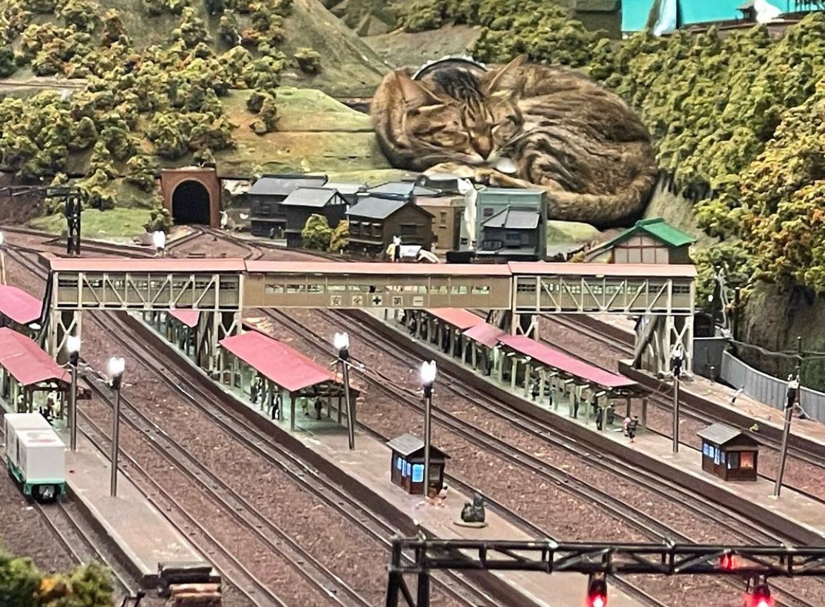 อันนี้น่ารักดี ในโอซาก้ามีร้านอาหารที่มีรถไฟจำลองให้ดู ตอนแรกจะเจ๊งเพราะโควิด แต่ก่อนเจ๊ง มีแมวจรมาเยี่ยม แล้วแมวก็พาเพื่อนน้องตัวอื่นๆ มาด้วย พอถ่ายรูปเลยกลายเป็นเหมือนเมืองแมวยักษ์ ลงอินเทอร์เนตก็ดัง คนเลยแห่กันมาดูมากมาย รอดไป ไม่ต้องปิด ขอบคุณน้อง