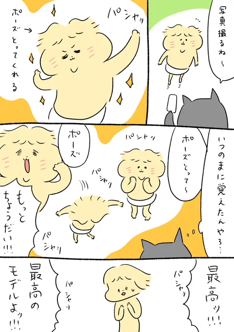 写真フォルダめっちゃ潤います 