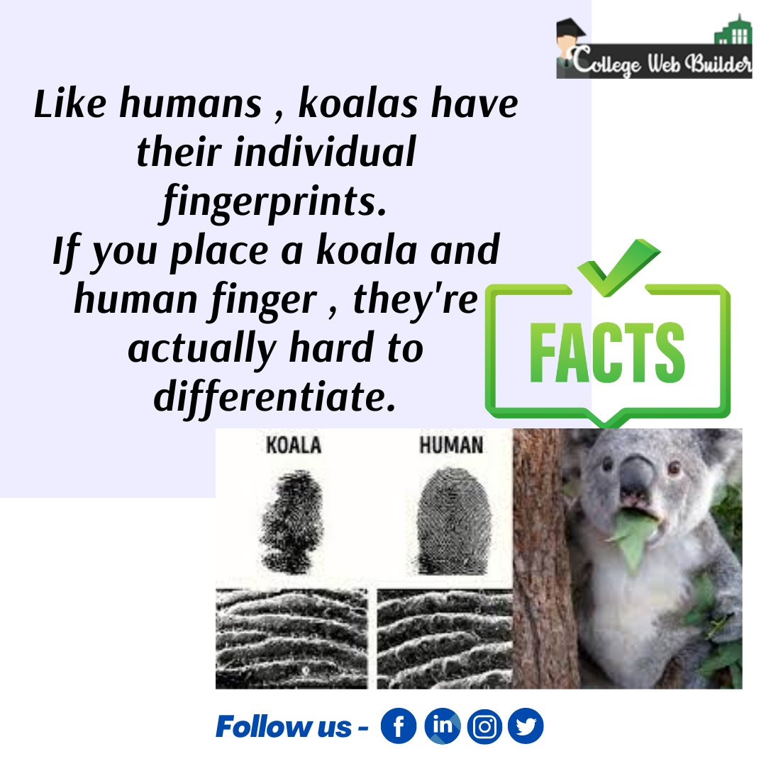 Collegewebbuil1's tweet photo. Facts…!
.
#collegewebbuilders #facts #knowledge #test #saltiest #humans #fingerprints #factspost #factspost #post https://t.co/vLdh5sQC6r