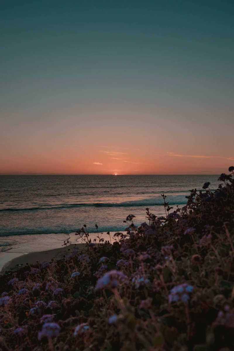 aestheticspost_'s tweet photo. mentally here https://t.co/Nfo1Rk9LKO