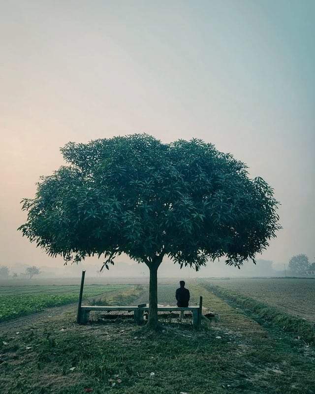 আমি চাই
আমার বিষণ্ণতা দিয়ে
তোমার
একান্ত দুঃখগুলো
স্পর্শ করতে

আর প্রতিবার
প্রতিবার বিফল হই!

কিছু দুর্বল শব্দ ছাড়া
কিছুই নেই আমার!

আজকাল
ব্যর্থতা আমার ভালো লাগে
আমি হেরে যেতে চাই

জেতার মতো
হেরে যাওয়াতেও-একটা নেশা আছে
তাই বার বার হেরে যেতে ইচ্ছে করে 
একেকটা ব্যর্থ কবিতার শেষে