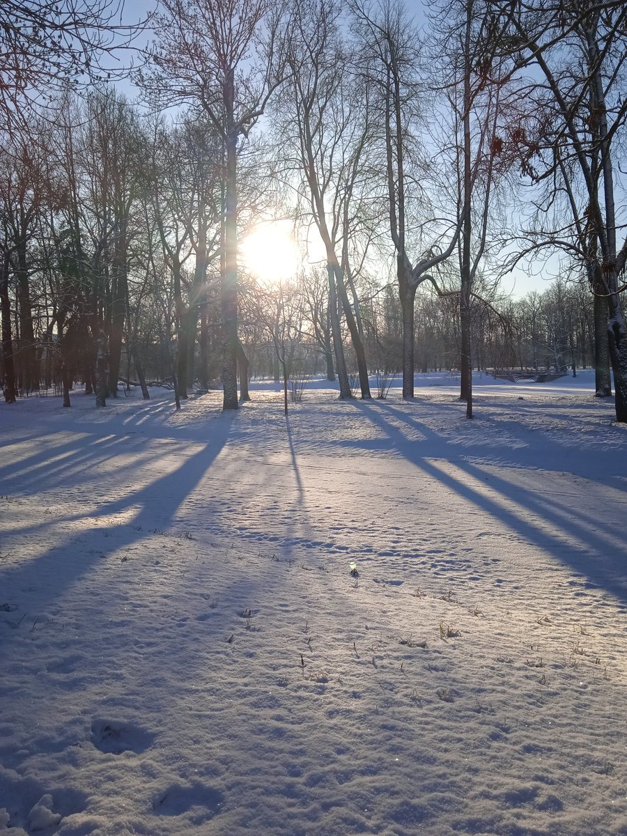 dead_kartofel's tweet photo. с наконец-то солнечном днем нас всех, товарищи и товарки

(и с первым падением за эту зиму меня конкретно) https://t.co/14spfRnZsJ