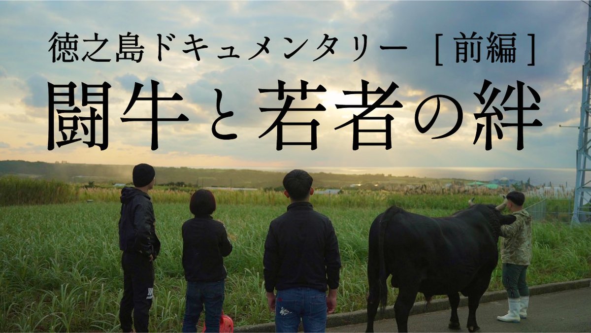 nakatrips's tweet photo. 徳之島の闘牛と若者たちの日常を追いかけたドキュメンタリーです。
↓
YouTube
https://t.co/2qZxPcvP9y https://t.co/VuOKMmj2cj