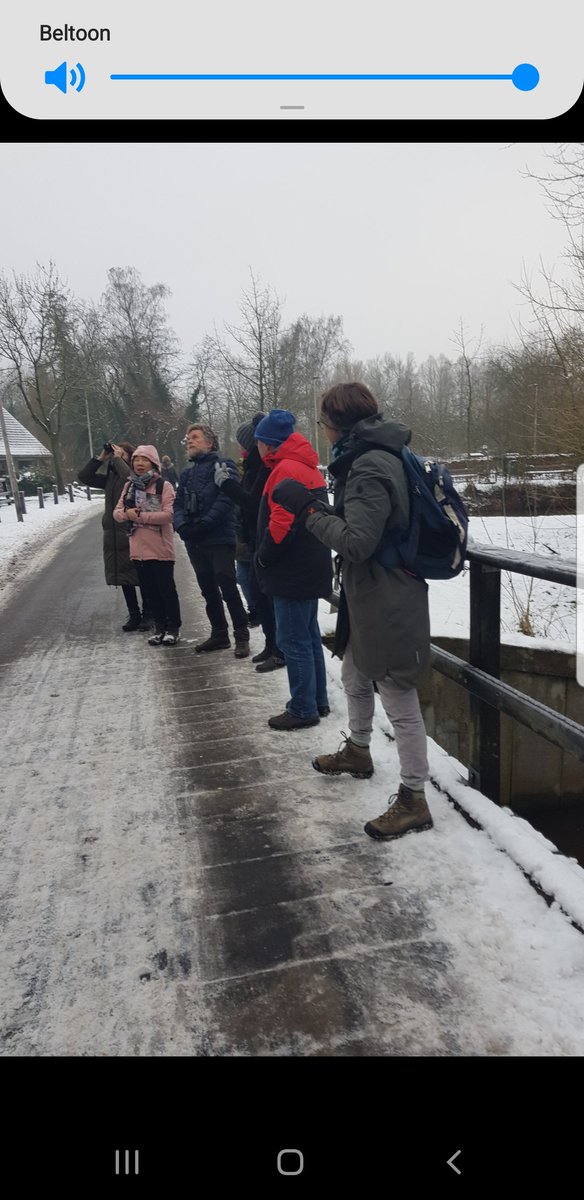 Voor het Eindhovens Dagblad op vogelexcursie in de Genneperparken. Mezen bestaan niet en de Groene Specht is een miereneter. Vanochtend, bij -3-, veel vreemde vogels leren kennen. Maandag in de krant.