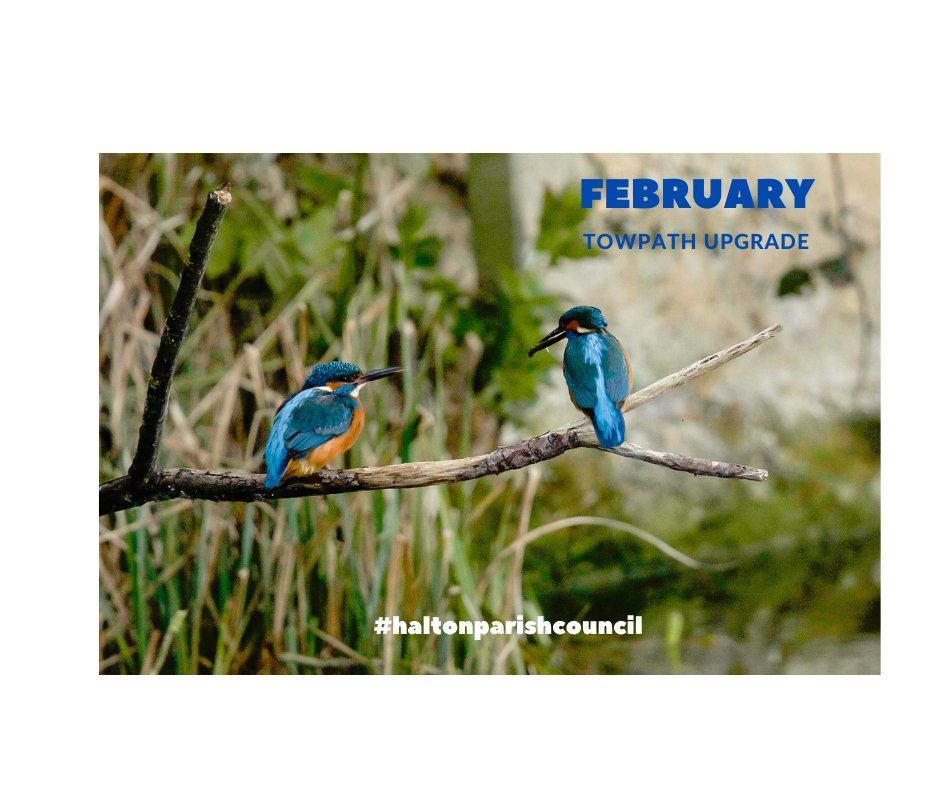 VillageHalton's tweet photo. Canal &amp; River Trust authorises Wendover Canal Trust to clear vegetation along 2.7km stretch, upgrading towpath. 3rd-10th February. Vegetation clearance will be carried out by volunteers. HS2 Chiltern AONB Review group brought upgrade to ca. £750K. #haltonparishcouncil https://t.co/kyLB86DX60