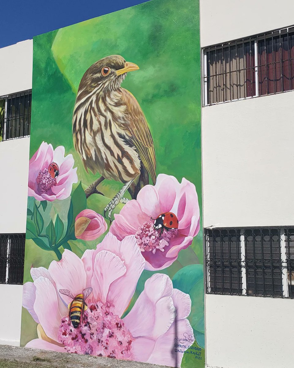 argone69's tweet photo. #saturdayartfever Les fresques murales de Puerto Plata en République Dominicaine ! 🇩🇴❤️ #murals #muralsdaily #streetart #gorepdom https://t.co/L8S0AgLMt0