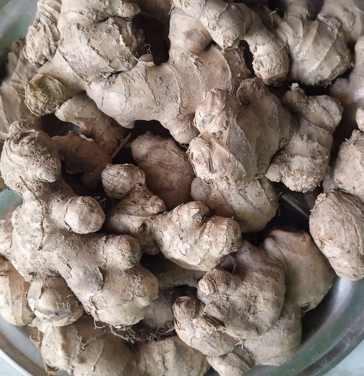 🕉️🙏👉१- प्रतिदिन प्रातः काल सेवन करने से क्षुधा की वृद्धि होती है
👉२-प्रतिदिन भोजन के प्रारभ में लवण एवं अदरक की चटनी खाने से जीव एवं कंठ की शुद्धि होती है l अग्नि प्रदीप्त तथा हृदय बलवान होता है।
👉३-अदरक का अचार खाने से भूख बढ़ती है। और गला साफ रहता है।