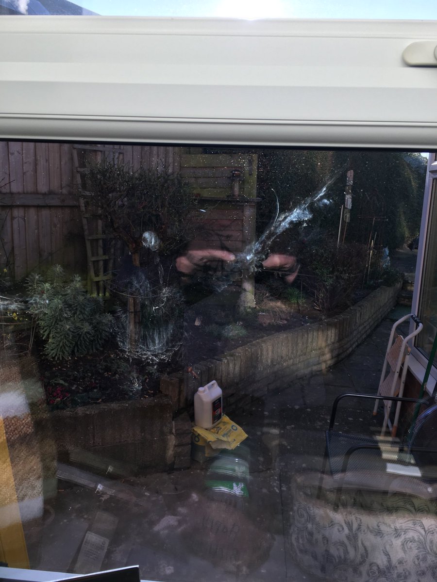 Stupid pigeon flew off the bird feeder straight into the kitchen window, left a great shadow impression, better get the windows cleaned now