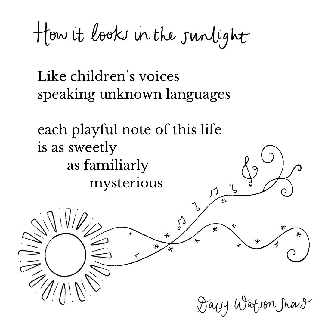 January’s a funny ol’ month. Making sure to look out for the light - it even manages to get frost &amp; ice to sparkle 🌞🎼✨