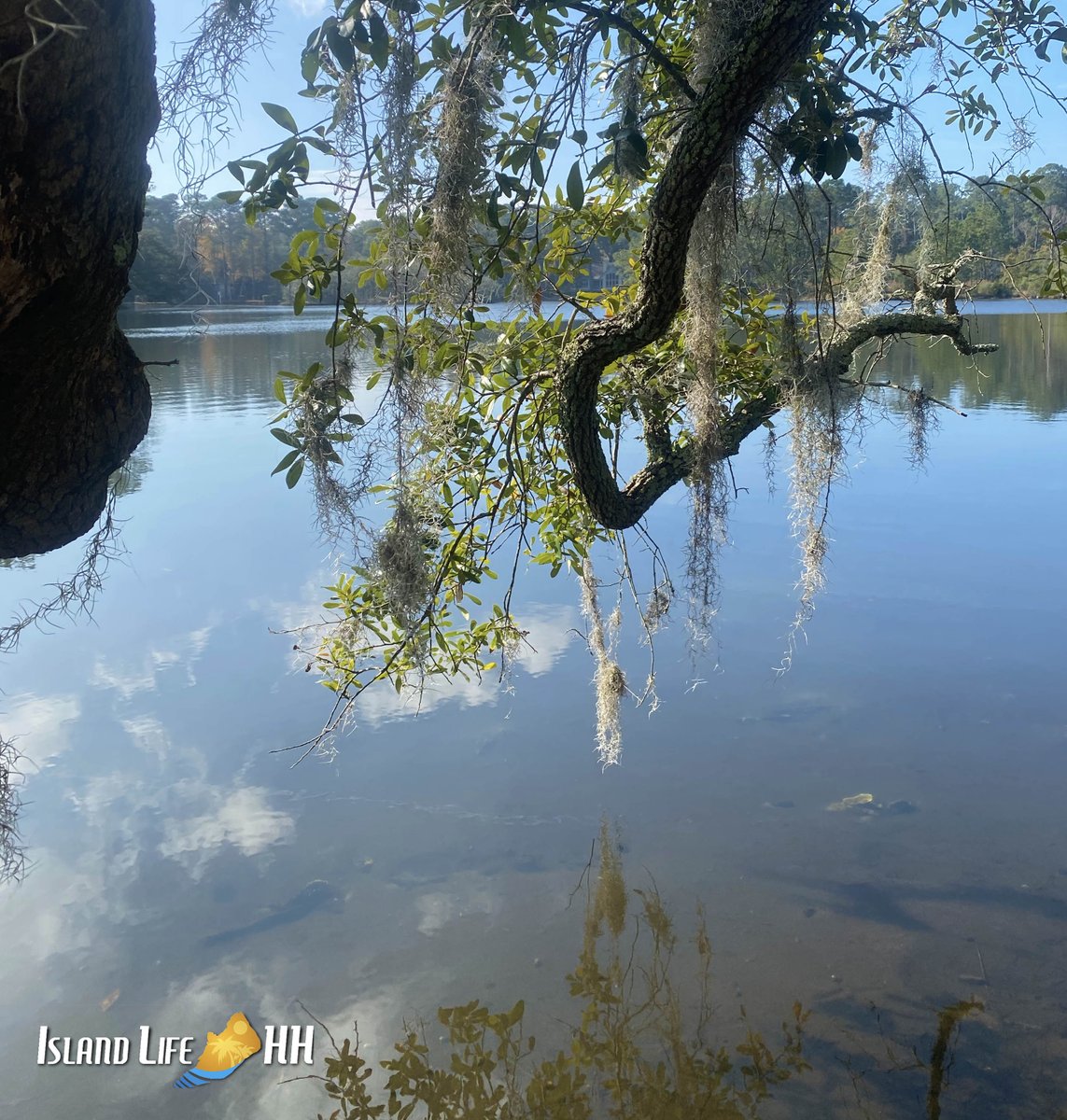 islandlifehh's tweet photo. Beach views are great, but sometimes marsh views can be just as relaxing!
#hiltonhead #hiltonheadisland #hhi #islandlifehh #lowcountry #discoversc #marsh #saltmarsh #marshviews #weekendvibes https://t.co/DDQAr3pqgP